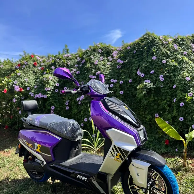 MOTO ELÉCTRICA TOPMAQ E4's photo #1